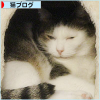 怨念_a0389088_16001196.jpg