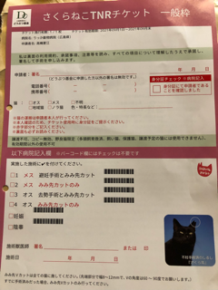 野良猫写真館_f0363168_19270230.png