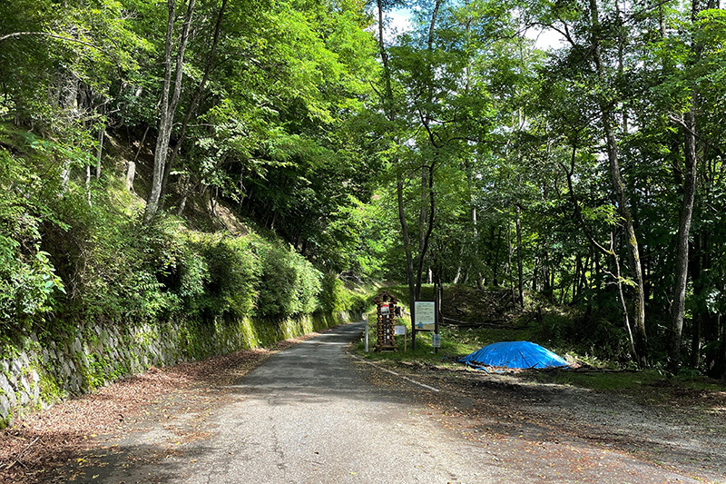 犬切峠、寂しいみち 2021年8月22日_d0123571_01203448.jpg