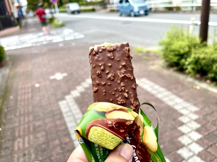 暑さのあまりアイスを買い食い。_c0212604_06343975.jpeg