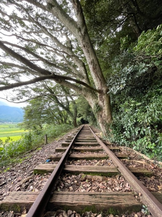 泰久寺駅 旧国鉄倉吉線跡 裏luz