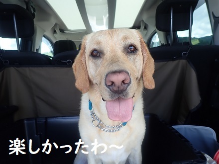 秋の気配。_c0182012_11100795.jpg