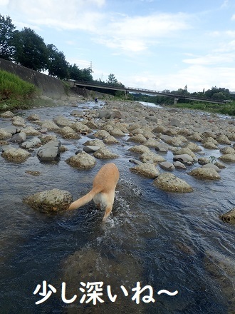 秋の気配。_c0182012_11101087.jpg