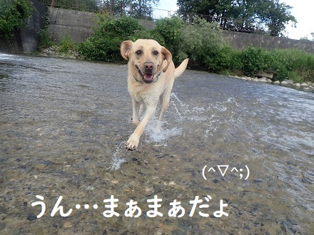 秋の気配。_c0182012_11101216.jpg