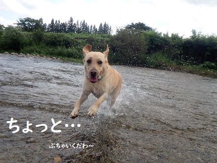 秋の気配。_c0182012_11101471.jpg
