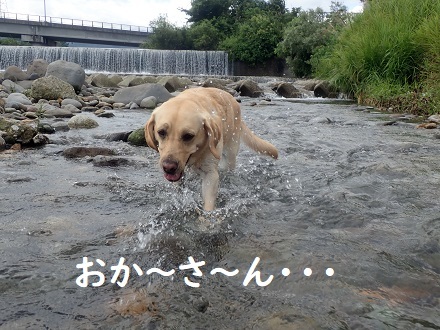 秋の気配。_c0182012_11101517.jpg