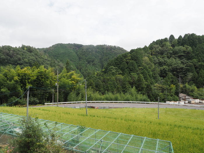 曇りのち晴れたり曇ったり_c0116915_17581033.jpg