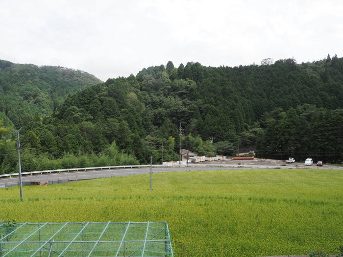 曇りのち晴れたり曇ったり_c0116915_17582182.jpg