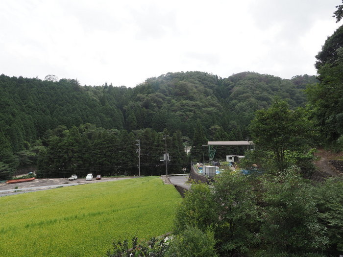 曇りのち晴れたり曇ったり_c0116915_17582911.jpg
