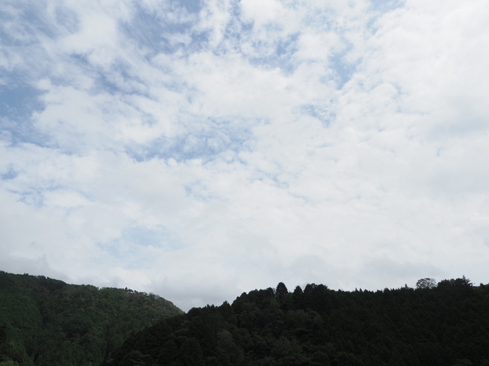 曇りのち晴れたり曇ったり_c0116915_17585993.jpg