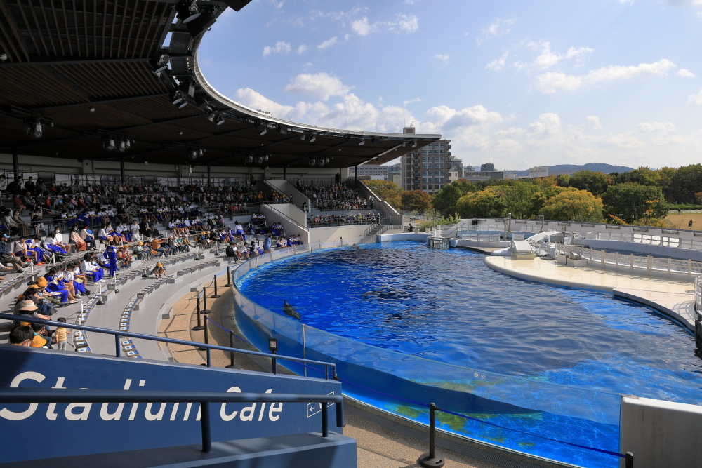 京都水族館 その2 イルカパフォーマンス ぴんぼけふぉとぶろぐ2