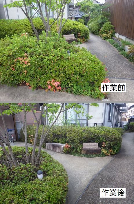 京都市庭木剪定 庭 佳niwaka 庭木1本からの植木屋 京都市庭木剪定 庭 佳niwaka 庭木1本からの植木屋