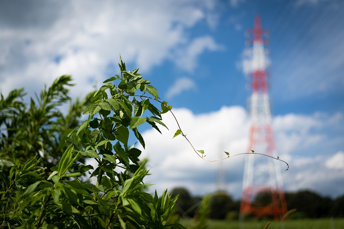 夏が戻って来た愛知牧場_d0353489_20230795.jpg
