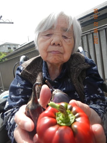 晴れた日には!_d0178056_20000707.jpg