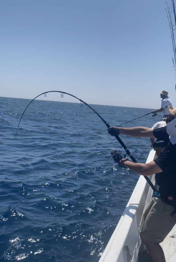 8月27日 キハダ便 52.3キロ51.1キロ42.7キロ42キロ41.3キロ40.4キロ_d0335966_18331232.jpeg