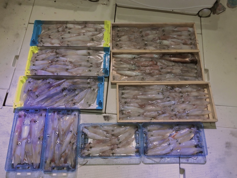 8月の釣果。_b0282208_00283636.jpeg
