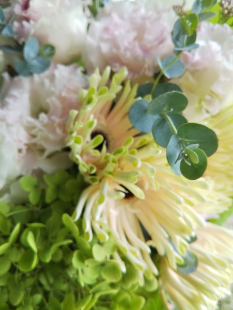 お誕生日の花束 ブランシュのはなたち