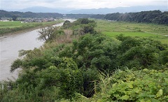 川辺川ダムは要らない!(35)_f0197754_14302520.jpg