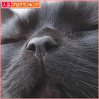 まめメモリアル_a0389088_18232104.jpg