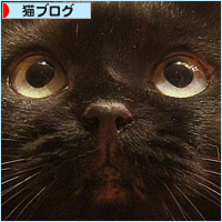 まめメモリアル_a0389088_18232189.jpg