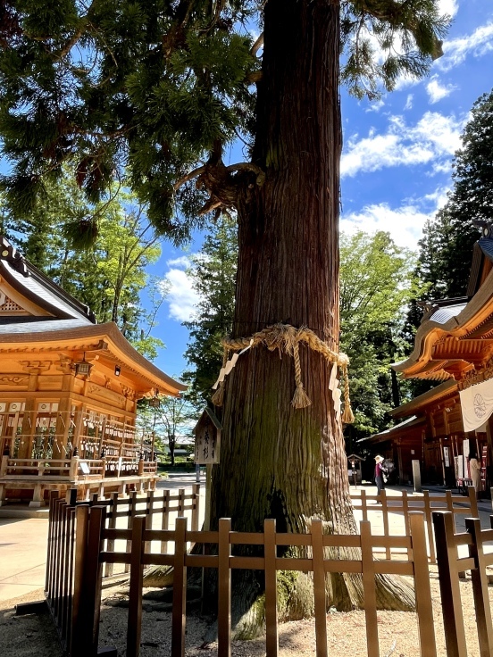 穂高神社へ【NO密 乗り鉄の旅】8/10_c0212604_06374989.jpeg