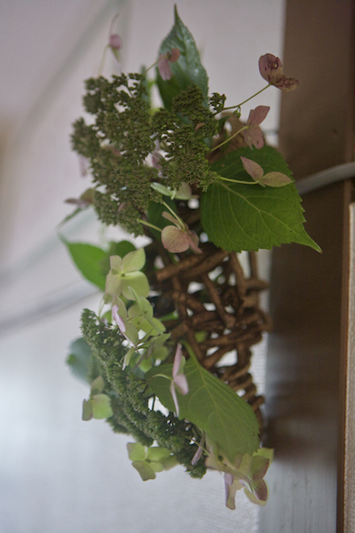 室内グリーンの手入れメモ アジアンタム ソフォラ リトルベイビー つりしのぶ 世話要らずの庭