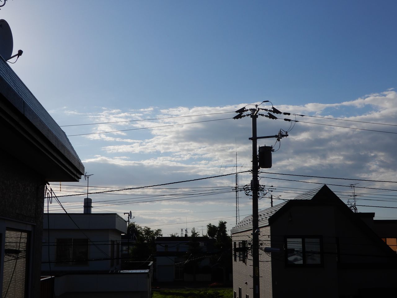 真夏日が続きました_c0025115_21111068.jpg