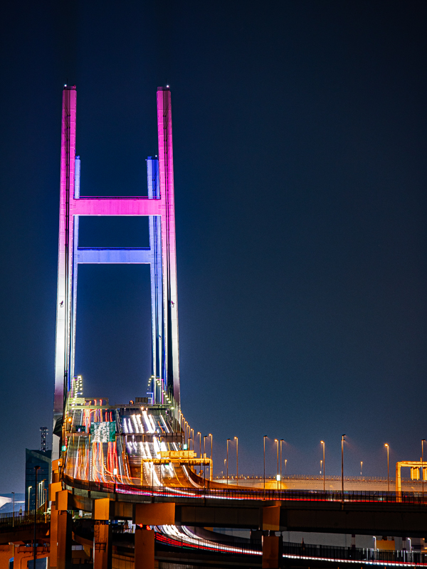 横浜ベイブリッジ : うろ子とカメラ。Ⅱ