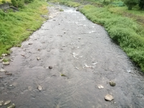 2021/8/29 水位観測 (槻の木橋より)_b0111189_05423635.jpg