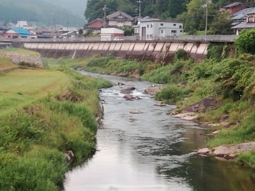 2021/8/29 水位観測 (槻の木橋より)_b0111189_05425142.jpg