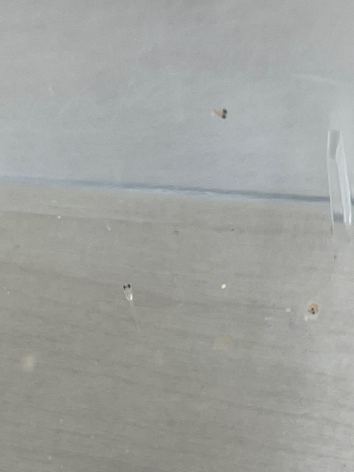 ☆メダカの新居完成☆_b0263390_16262057.jpg