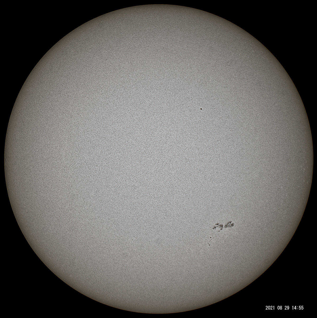 8月29日の太陽_e0174091_18551823.jpg