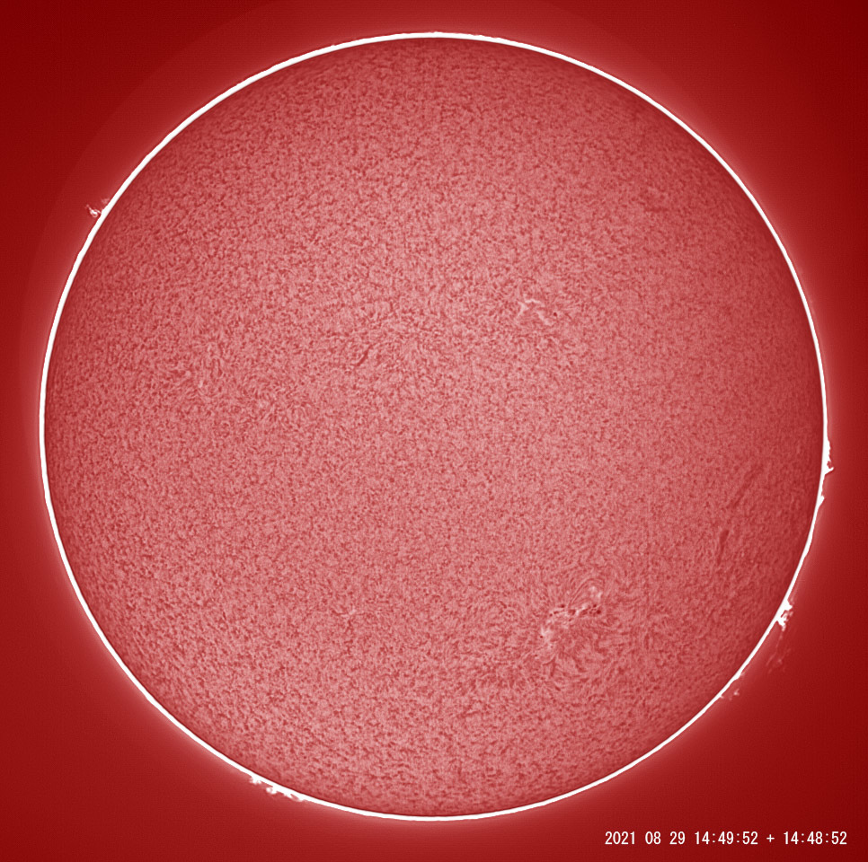 8月29日の太陽_e0174091_18552395.jpg