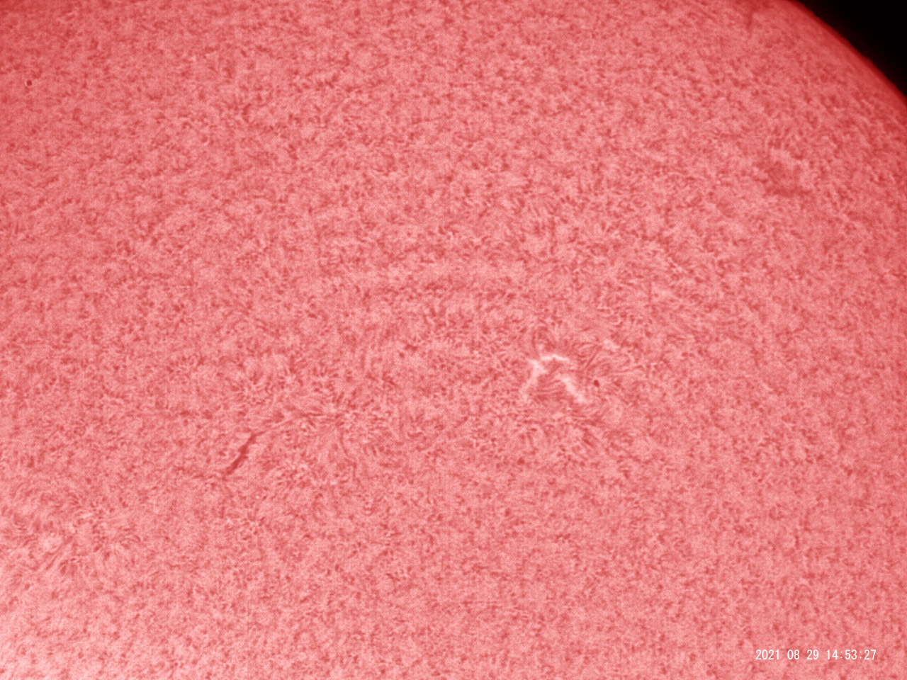 8月29日の太陽_e0174091_18552983.jpg