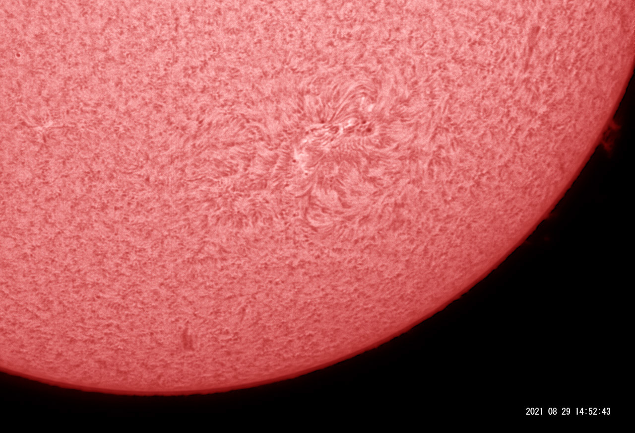 8月29日の太陽_e0174091_18553427.jpg