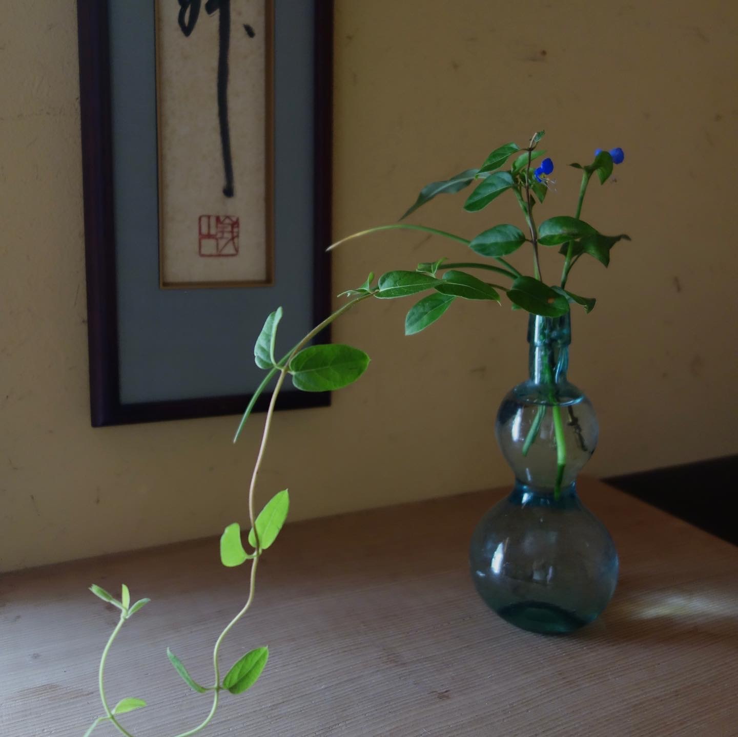 残暑、厳しいですね。_a0197730_09465183.jpg
