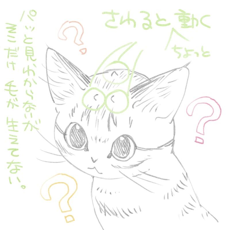 ねねこちゃん闘病記4「血液検査と謎の突起物」_d0118933_17415190.jpg