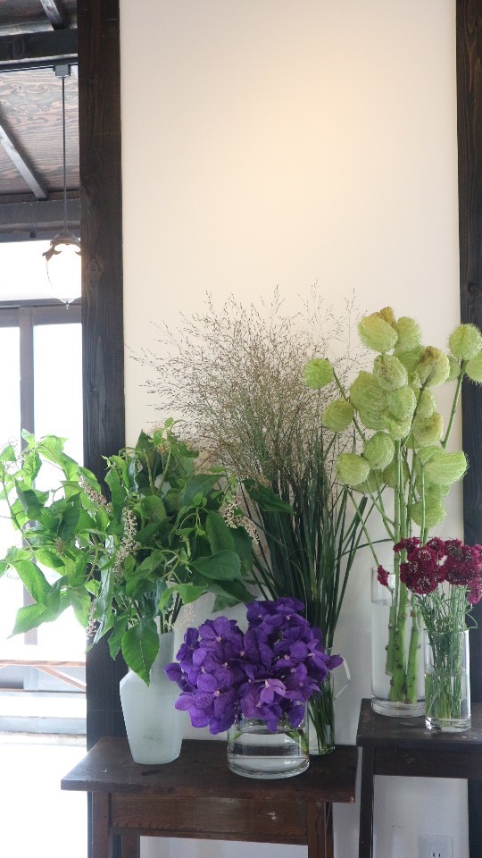 ディアボロに晩夏を活けるレッスン パリ色の風 上ル下ル