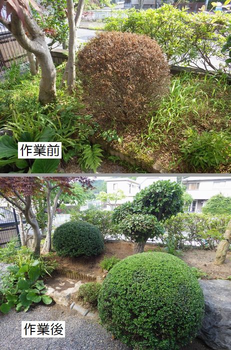 京都市庭木剪定 庭 佳niwaka 庭木1本からの植木屋 京都市庭木剪定 庭 佳niwaka 庭木1本からの植木屋