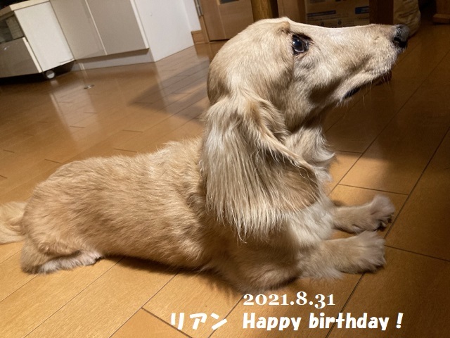 8月も終了~~_f0162908_19353684.jpg