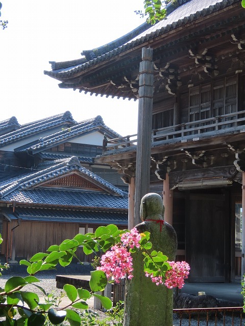 金剛寺の百日紅の花_e0321325_14394210.jpg