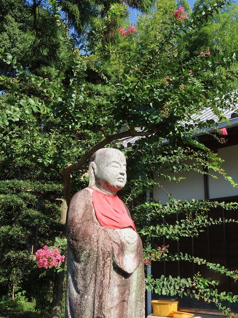 金剛寺の百日紅の花_e0321325_14395763.jpg
