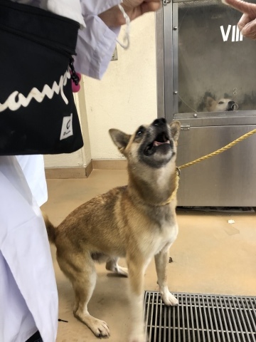 _f0078320_04434095.jpeg