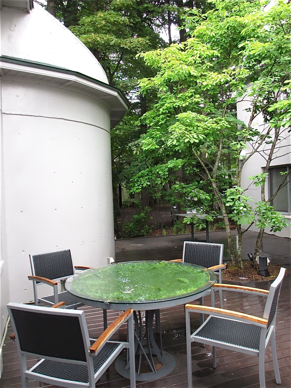 絶品の「季節野菜のピッツァ」!!──「エンボカ 軽井沢」 (enboca軽井沢)_d0352022_17585199.jpeg