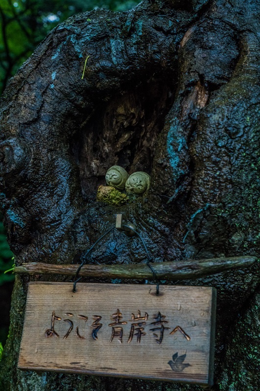 青岸寺~喫茶去_e0415042_13394072.jpg