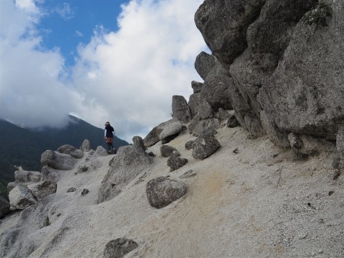 白砂にオオビランジ咲く 日向山　　2021.８.30（月）_b0335256_09545715.jpg