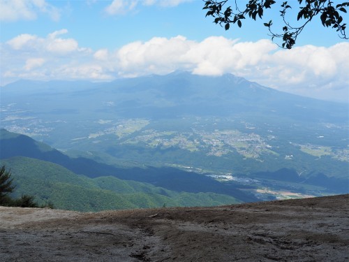 白砂にオオビランジ咲く 日向山　　2021.８.30（月）_b0335256_10043567.jpg