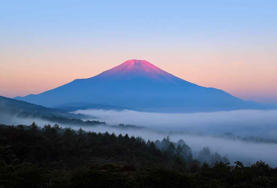 令和３年８月２８日～２９日の写真から_b0355457_16225572.jpg