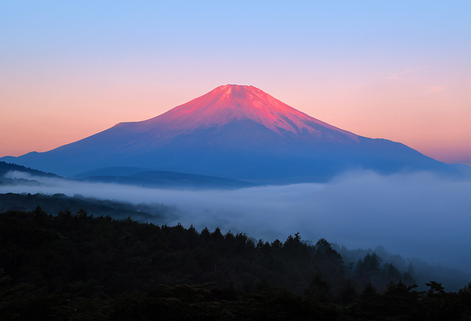 令和３年８月２８日～２９日の写真から_b0355457_16230770.jpg