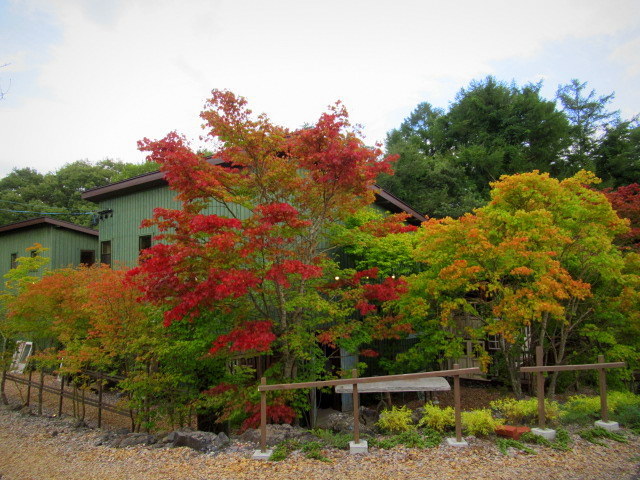 GAFLO CAFE by Flower FIELD ＊ 早くも秋色に包まれるカフェ♪_f0236260_18072295.jpg